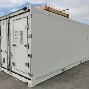 20ft new domestic refrigerated container